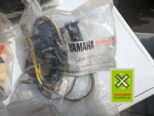 PXL_20240528_142333989